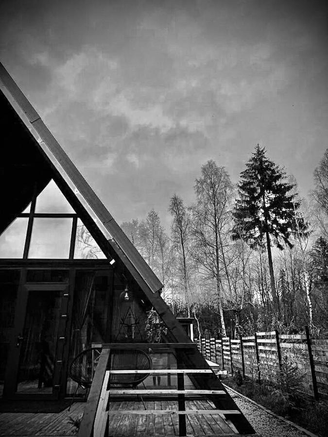Zenith A-Frame Straja Vila Lupeni  Exterior foto