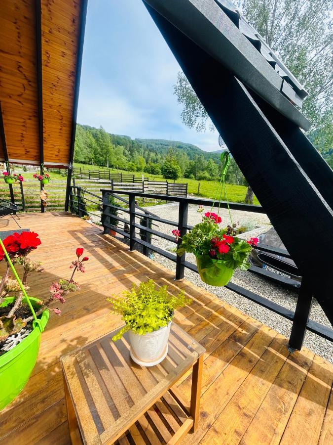 Zenith A-Frame Straja Vila Lupeni  Exterior foto